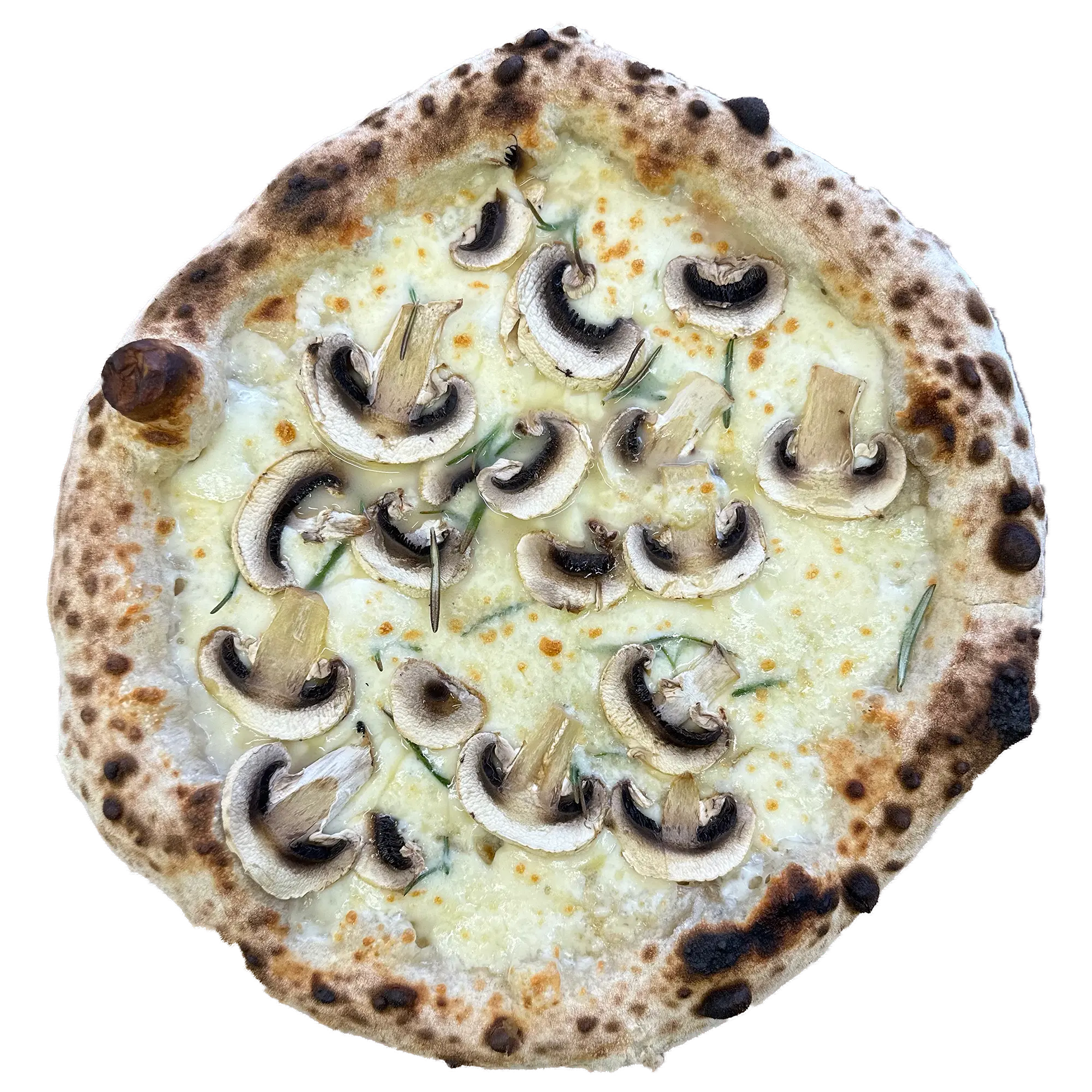 Pizza ROSMARINO FUNGO
    Mozzarella, champignons frais, romarin